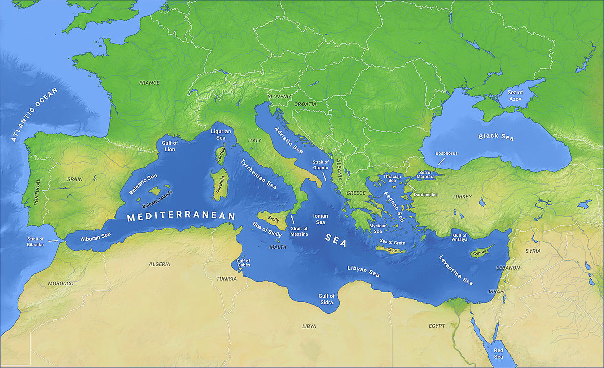 Variant Delta: l'OMS avertit d'une augmentation des cas en Méditerranée orientale